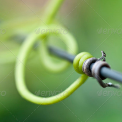 代理价直销的短信免费轰炸网页入口