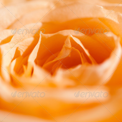 释放创新动力的短信免费轰炸网页入口