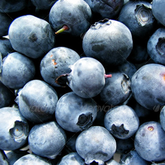 免费轰炸网页版