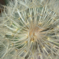 短信免费轰炸网页