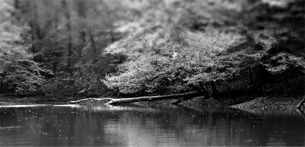 手机号连环呼叫软件