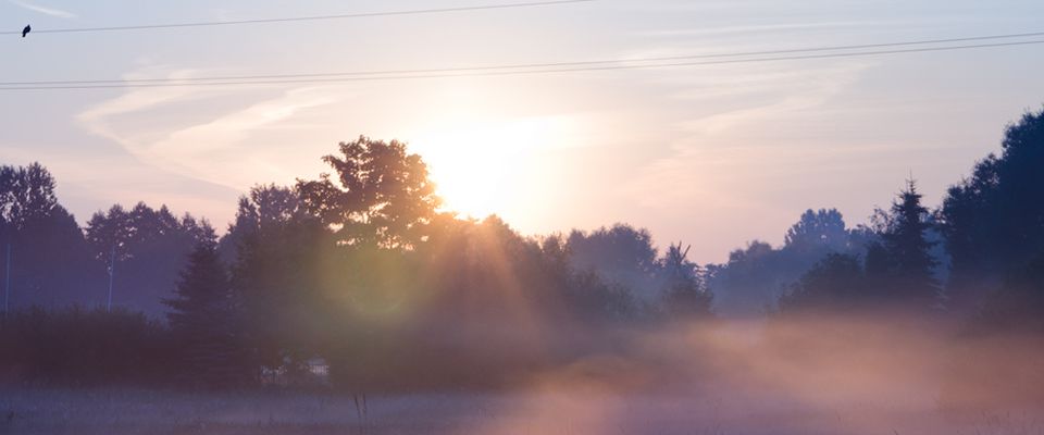 短信轰炸业务网